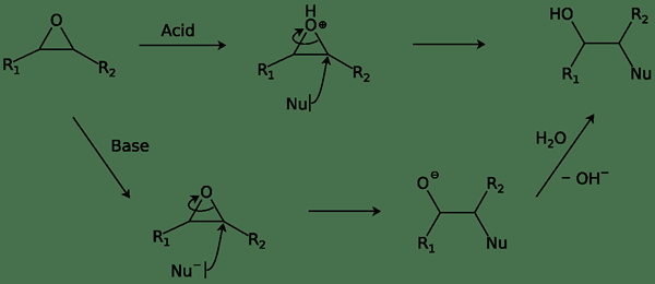 Différence entre l'hydrolyse acide et l'hydrolyse enzymatique