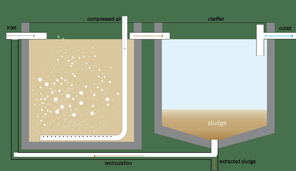 Perbedaan antara lumpur teraktivasi dan filter menetes