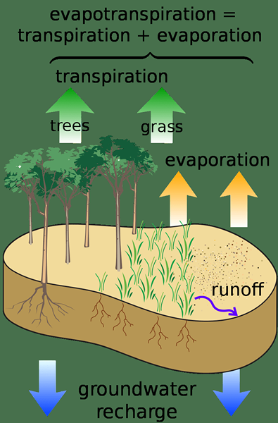 Unterschied zwischen tatsächlicher Evapotranspiration und potenzieller Evapotranspiration