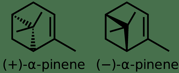 Perbedaan antara alpha dan beta pinene