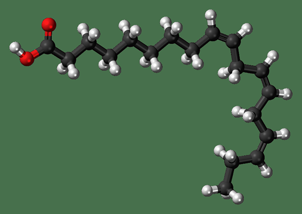 Unterschied zwischen Alpha -Liponsäure und Alpha Linolensäure