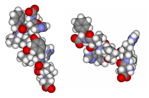 Différence entre l'angiotensine 1 et 2