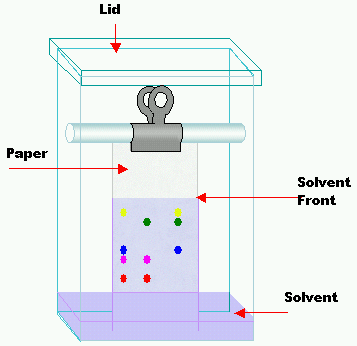 Unterschied zwischen aufsteigender und absteigender Papierchromatographie