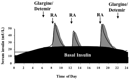 Différence entre l'insuline basale et le bolus