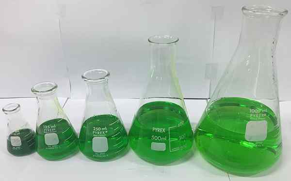 Perbezaan Antara Bike dan Erlenmeyer Flask