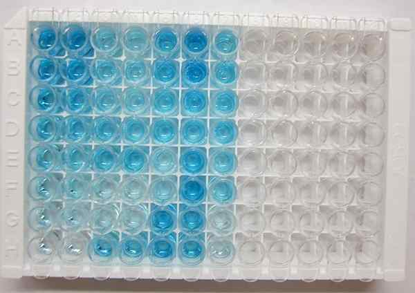 Différence entre l'essai biologique et le test chimique