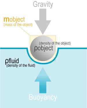 Différence entre la force flottante et la force gravitationnelle