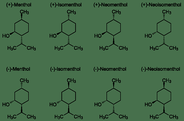 Perbezaan antara camphor dan mentol