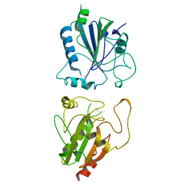 Perbezaan antara catalase dan peroksidase