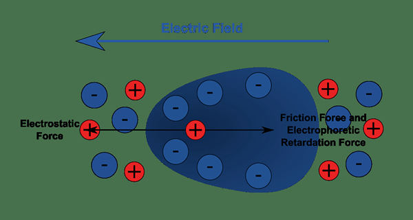 Perbezaan antara cataphoresis dan anaforesis