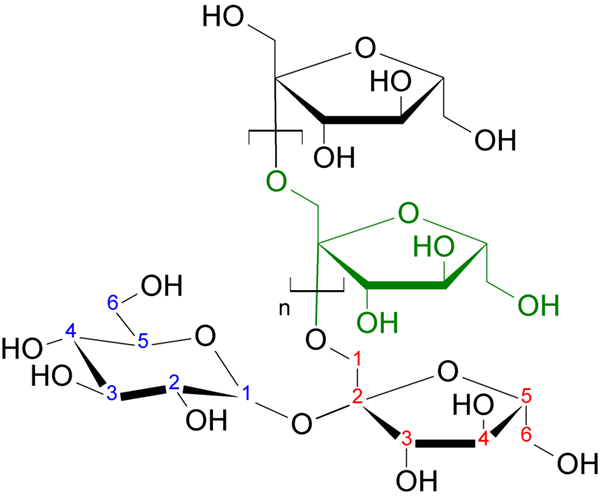 Différence entre CCR CIN et CPAH