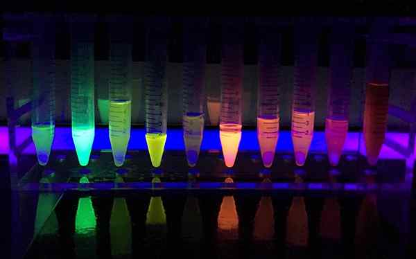 Perbedaan antara chemiluminescence dan fluoresensi