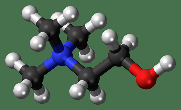 Unterschied zwischen Cholin und Phosphatidylcholin