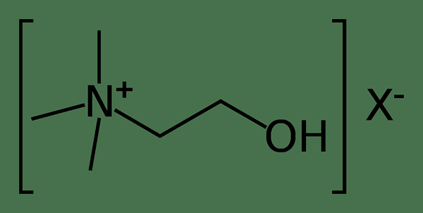 Unterschied zwischen cholinergen und anticholinergen Unterschied