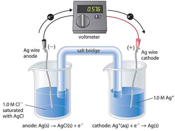 Différence entre la cellule de concentration et les cellules chimiques