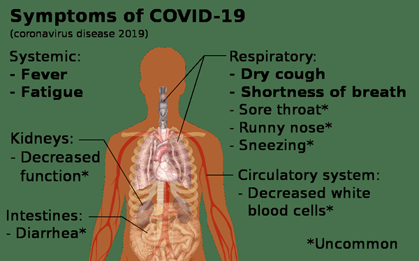 Perbedaan antara coronavirus dan gejala dingin