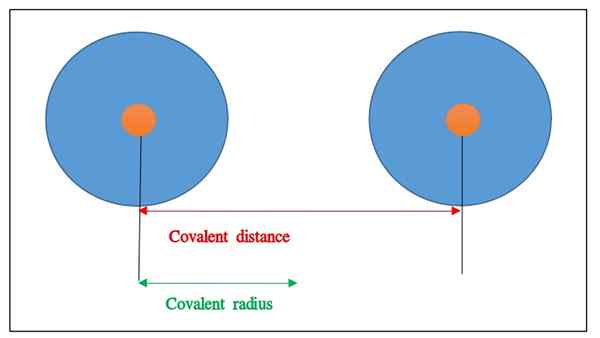 Unterschied zwischen kovalenter Radius und metallischem Radius