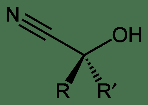 Diferencia entre cianohidrina y nitrilo