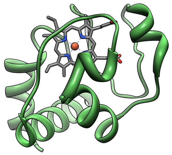 Différence entre le cytochrome C et d'autres cytochromes