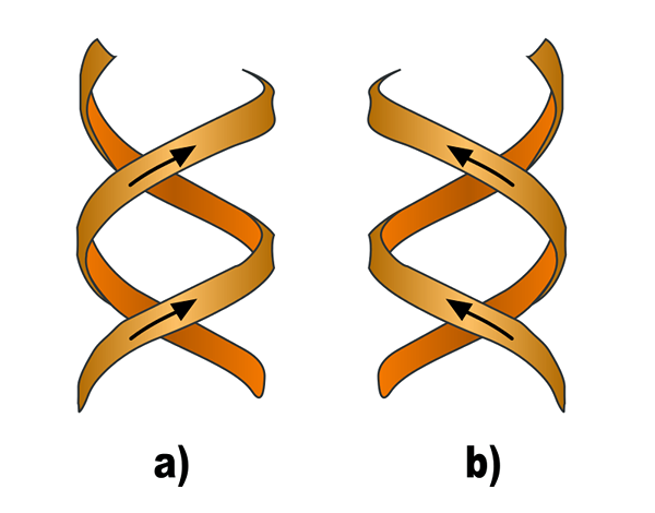 Différence entre dextrorotatoire et lévorotatoire