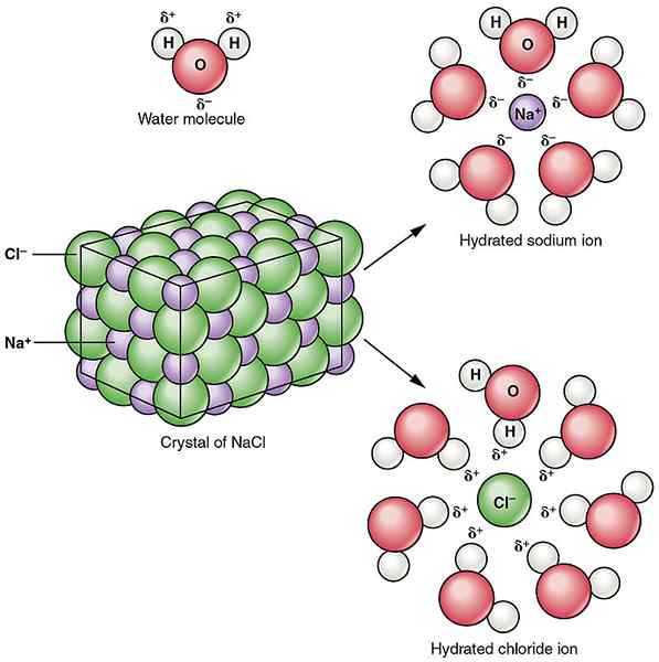 Perbezaan antara penceraian dan solvation