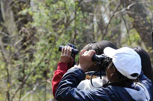 Diferencia entre el ecoturismo y el turismo de la naturaleza