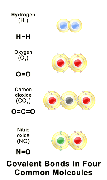 Unterschied zwischen Element und Molekül