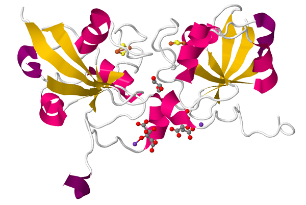 Perbedaan antara ferredoxin dan rubredoxin