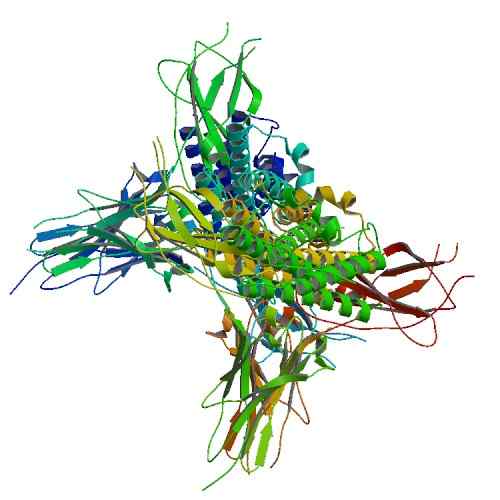 Différence entre filgrastim et pegfilgrastim