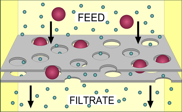 Perbezaan antara filtrat dan sisa