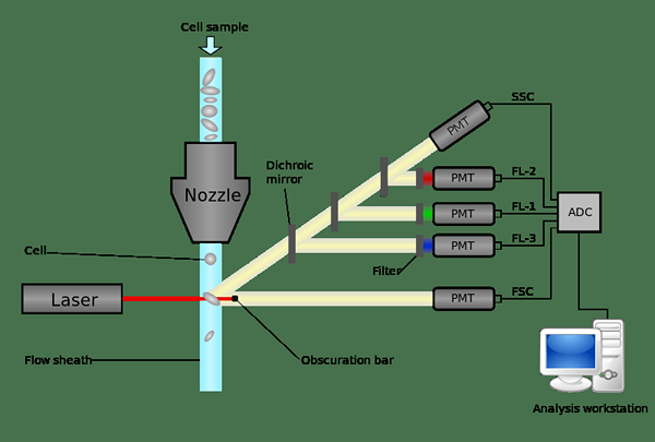 Perbedaan antara flow cytometry dan facs