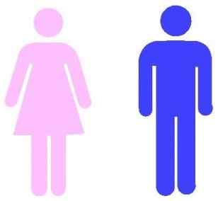 Perbedaan antara perempuan dan laki -laki