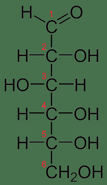 Diferencia entre glucosa y galactosa