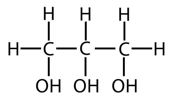 Différence entre le glycérol et les acides gras