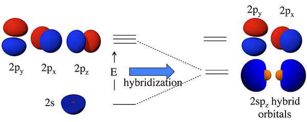 Perbedaan antara orbital hibrida dan degenerasi