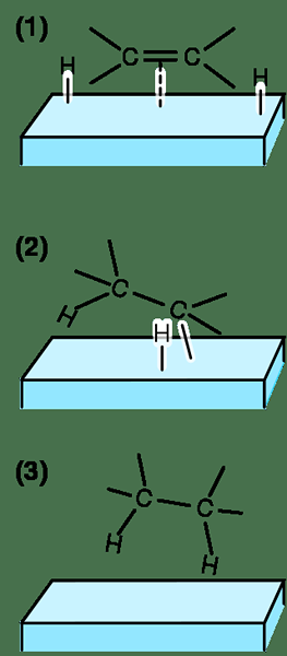 Unterschied zwischen Hydratation und Hydrierung