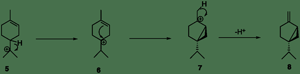 Perbedaan antara hydride dan methyl shift