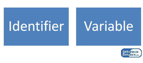 Perbedaan antara pengidentifikasi dan variabel