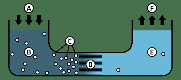 Différence entre l'échange d'ions et l'osmose inverse