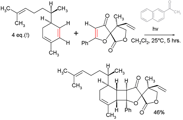 Unterschied zwischen linearer und konvergenter Synthese