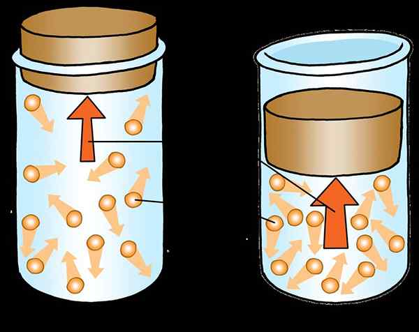 Diferencia entre las propiedades macroscópicas y microscópicas