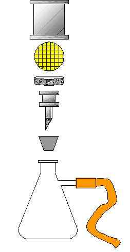 Unterschied zwischen Membranfiltration und direkter Inokulation