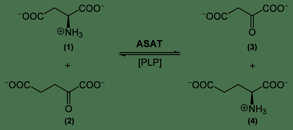 Différence entre la métathèse et les réactions redox