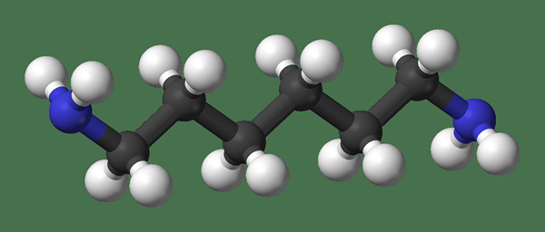 Différence entre le groupe méthyle et méthylène