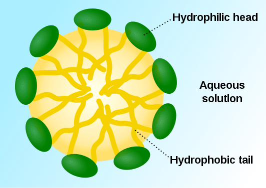 Perbezaan antara micelles dan zarah koloid