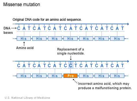 Différence entre la maltraitance et la mutation absurde