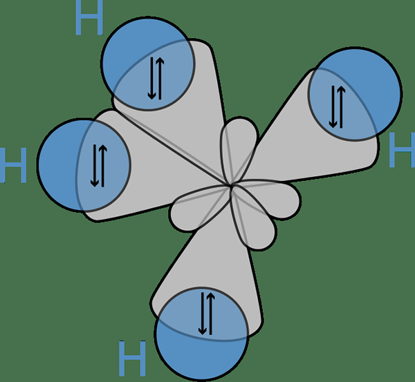 Perbedaan antara teori orbital molekuler dan teori hibridisasi