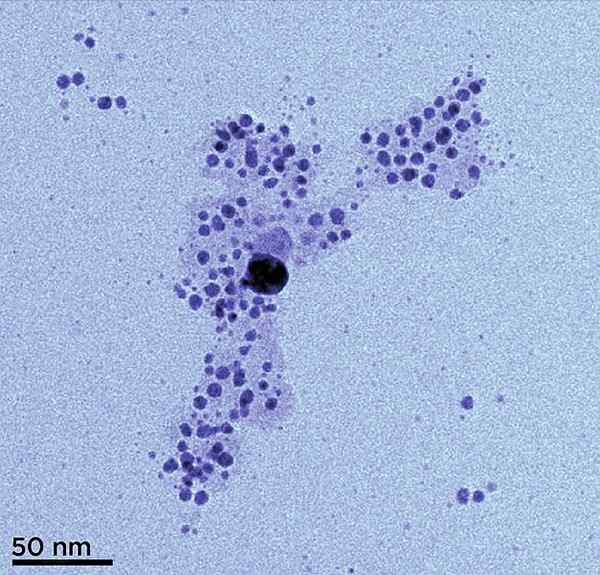 Unterschied zwischen Nanosilber und kolloidalem Silber