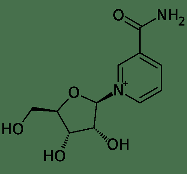 Différence entre nicotinamide et nicotinamide riboside