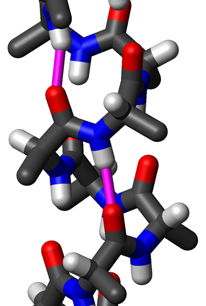 Perbedaan antara oligopeptida dan polipeptida